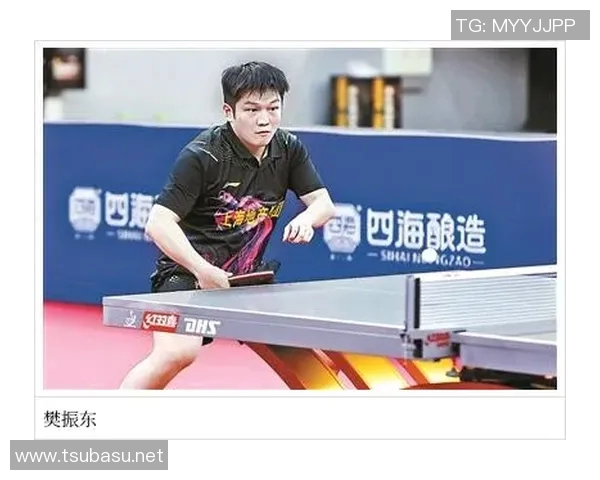 南京乒乓球队的蜕变与成长:一段不平凡的转型历程纪实 南京乒乓球队的蜕变与成长:一段不平凡的转型历程纪实