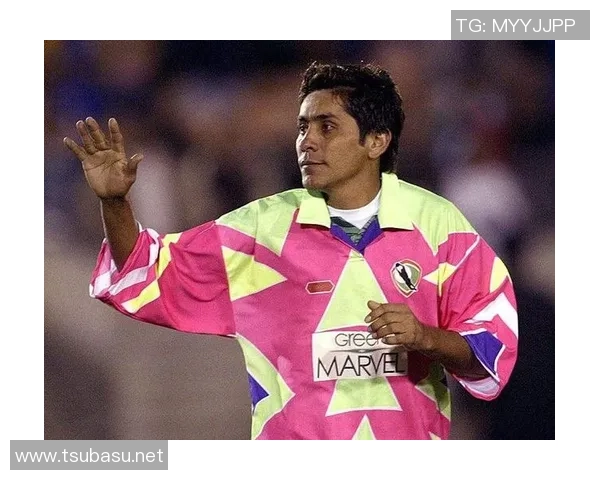 最强动物足球明星揭晓谁能在绿茵场上称霸天下