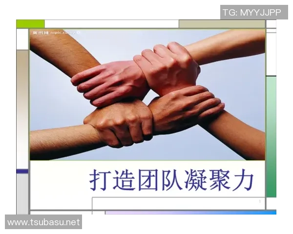 武汉排球队的精神与团队意识探讨：排球运动中的凝聚力与奋斗精神