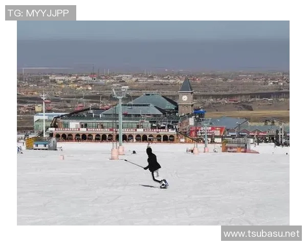 重庆篮球队在钻石联赛中的奋进之路与辉煌成就全景回顾 重庆篮球队在钻石联赛中的奋进之路与辉煌成就全景回顾
