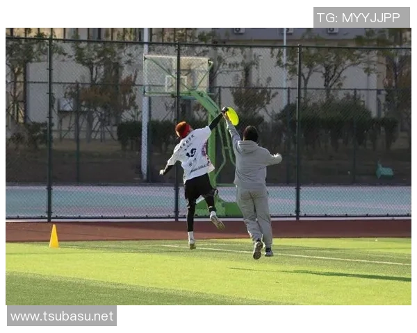 数据分析：南京飞盘队的耐力表现