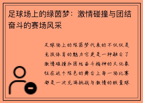 足球场上的绿茵梦：激情碰撞与团结奋斗的赛场风采