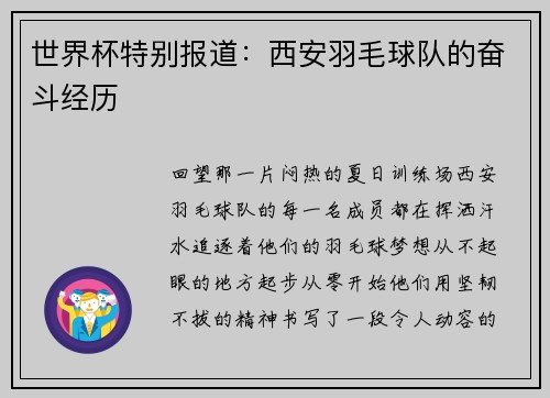 世界杯特别报道:西安羽毛球队的奋斗经历
